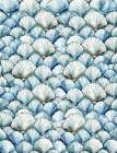 Shell Pattern Art Print