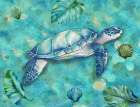 Sea Turtle At Home I Art Print