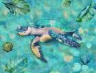 Sea Turtle At Home II Art Print