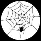 Spiders Web