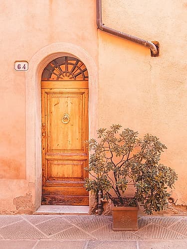 Enchanted Cedar Door Art Print