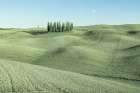 Green Italian Countryside Landscape Print