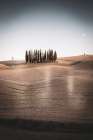 Italian Countryside At Dusk Art Print