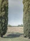 Natures Gate Art Print