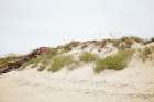 Beach Dune Art Print