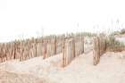 Beach Fences Art Print
