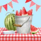 Watermelon At The Cookout Art Print