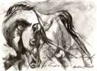 Sketched Horse View