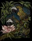 Vintage Macaws