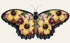Butterfly Yellow Wing Study Art Print