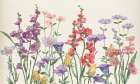 Waiting For The Butterflies Art Print