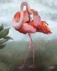 Flamingo Study I Art Print