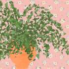 Moody Leaves and Daisies Art Print