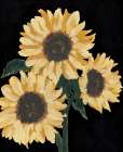 Wild Sunflowers Art Print