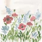 Meadow Wildflowers II