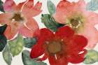 Pink Flower Power