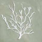 White Coral I Art Print