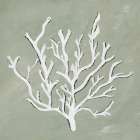 White Coral II Coastal Print