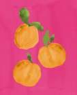 Oranges On Hot Pink Art Print