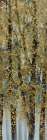 Gold Flecked Trees II Landscape Print