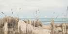 White Moon Over the Blue Ocean Art Print