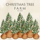 Christmas Tree Farm