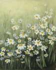 Daisyland Art Print