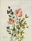 Vintage Floral I