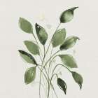 Green Retreat II Art Print