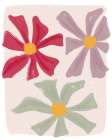 Three Sweet Colorful Flowers Art Print