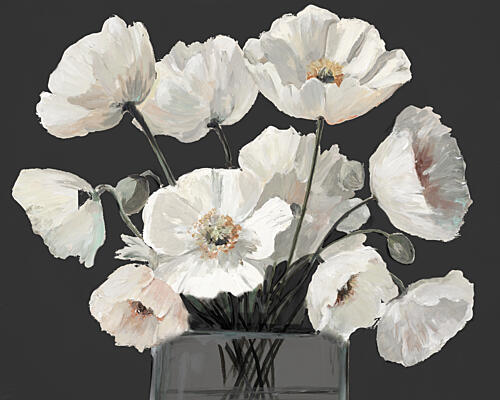 Delicate Poppies on Black Art Print