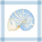 Framed Shell Art Print