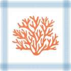 Framed Coral Art Print