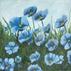 A Walk Through the Poppies II