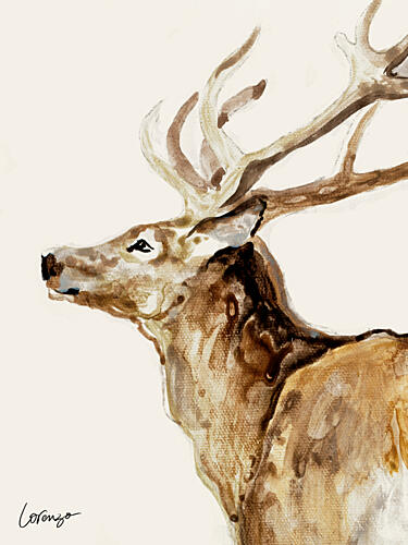 Deer Portrait Art Print