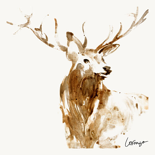 Deer Portrait Head Shot Art Print