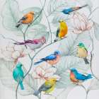 Colorful Array Of Birds Art Print