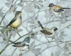 Serene Birds I Art Print