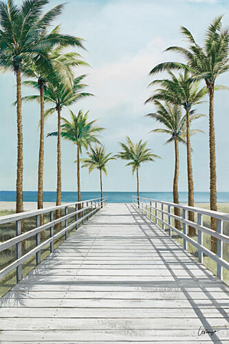 Boardwalk to the Beach Art Print