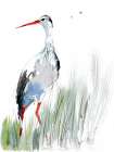 Heron Art Print