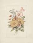 Flower Bouquet #8 Art Print
