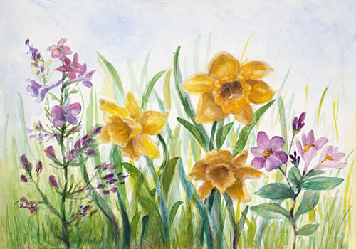 Daffodil Radiance Art Print