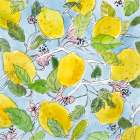 Lively Lemons Art Print