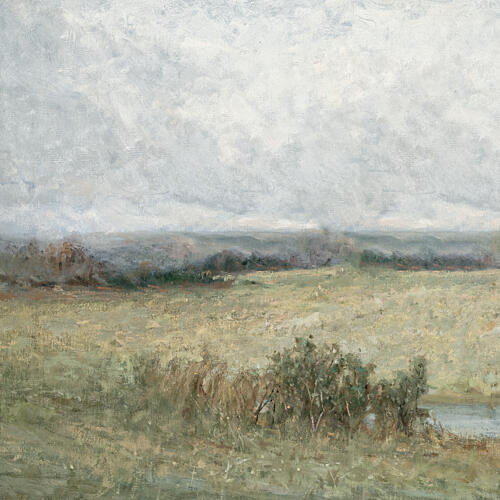 Hazy Meadow Art Print