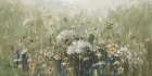 Mistful Summer Meadow Art Print