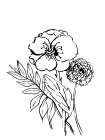 Simple Black and White Blooms I Art Print