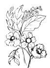 Simple Black and White Blooms II Art Print