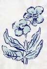 Whispering Blue Blooms