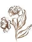 Laughing Floral II Art Print