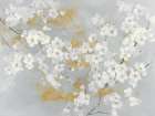 White Whispering Blooms Art Print